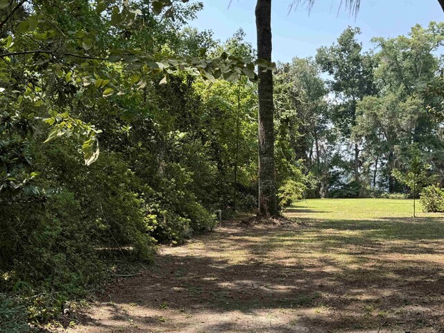 00 Parramore Shores Rd, Tallahassee, FL 32310 - photo 25
