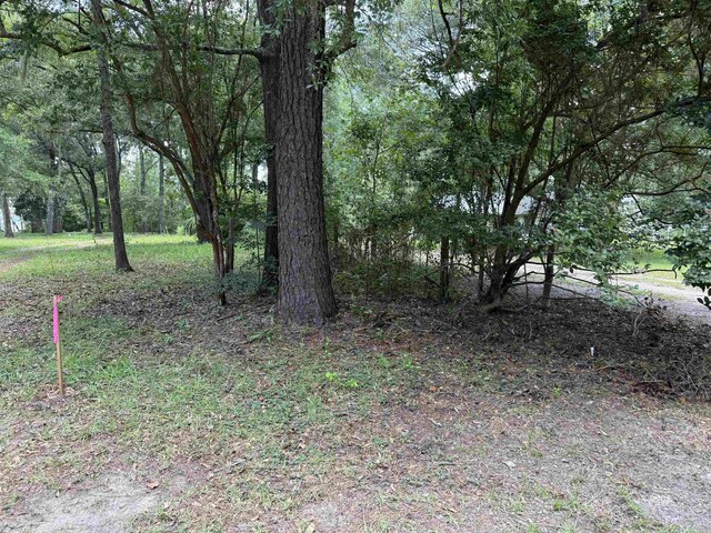 00 Parramore Shores Rd, Tallahassee, FL 32310 - photo 23