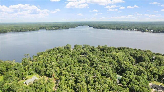 00 Parramore Shores Rd, Tallahassee, FL 32310 - photo 18