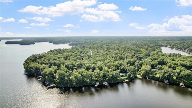 00 Parramore Shores Rd, Tallahassee, FL 32310 - photo 21