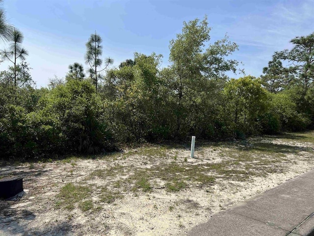 146 Anhinga Trl, Carrabelle FL, 32322 land for sale