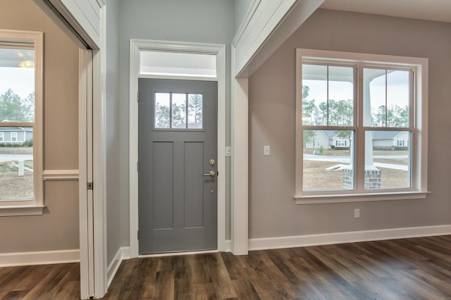 foyer entrance with dark hardwood / wood-style floors and plenty of natural light