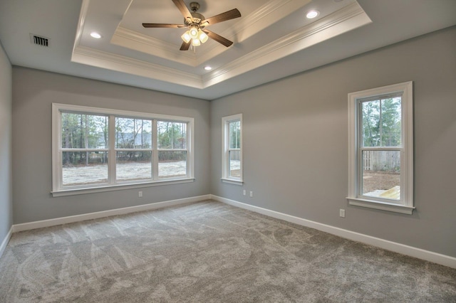 carpeted empty room with a raised ceiling and plenty of natural light