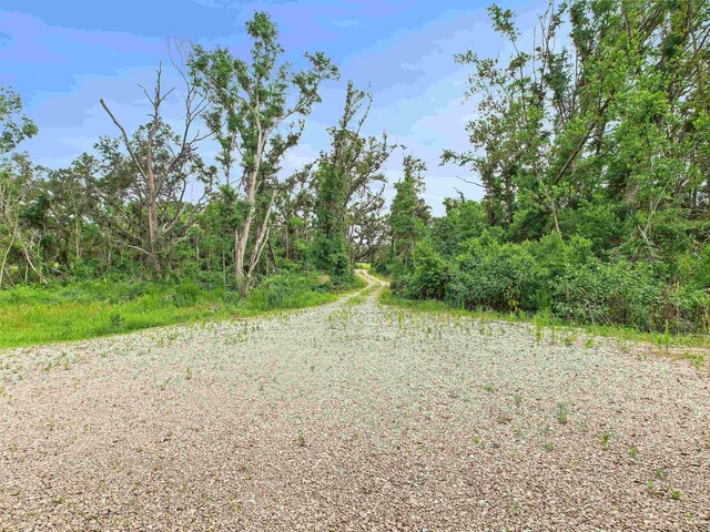 1499 Holley Dr, Perry, FL 32347 - photo 5