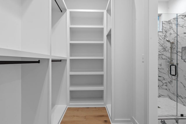 spacious closet featuring light hardwood / wood-style flooring