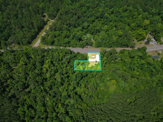 977 Lincoln Dr, Chattahoochee, FL 32324 - photo 6