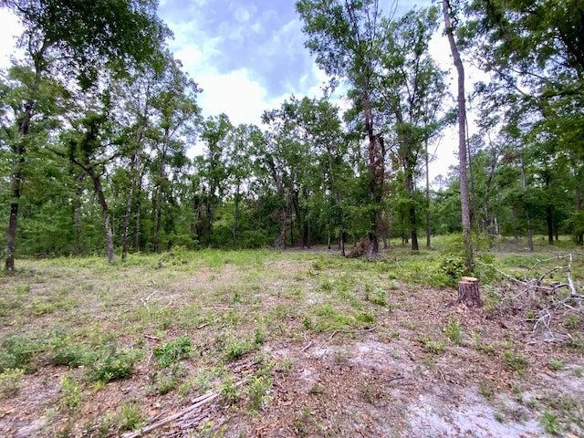VACANT NE Bellville Rd, Pinetta, FL 32350 - photo 7