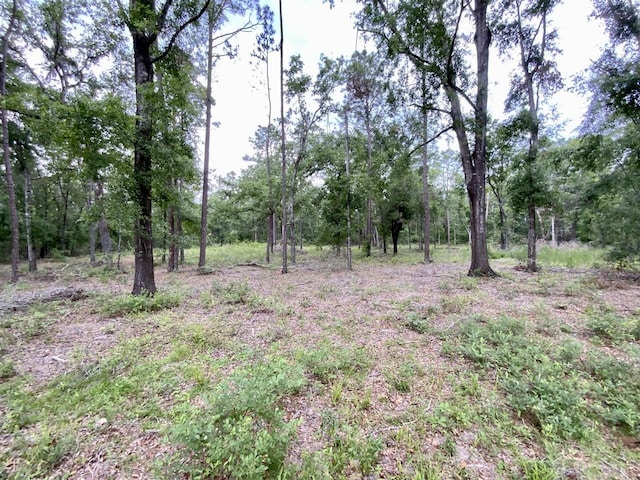 VACANT NE Bellville Rd, Pinetta, FL 32350 - photo 8