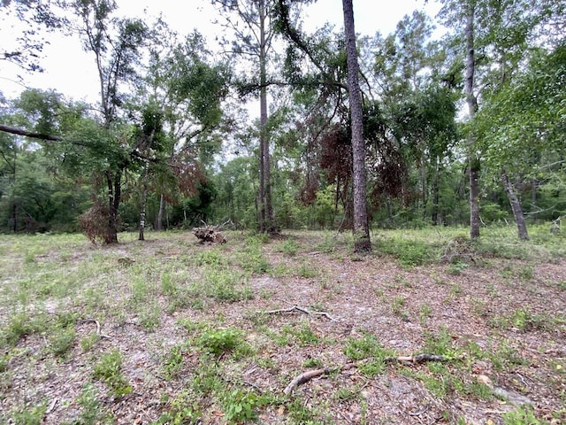 VACANT NE Bellville Rd, Pinetta, FL 32350 - photo 20