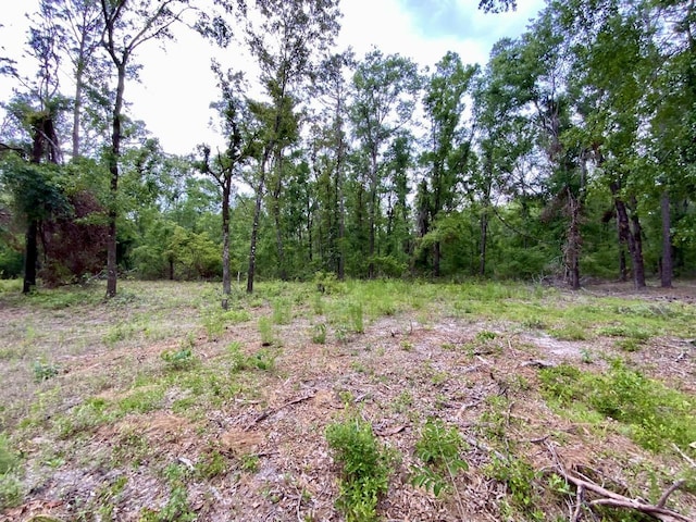VACANT NE Bellville Rd, Pinetta, FL 32350 - photo 16