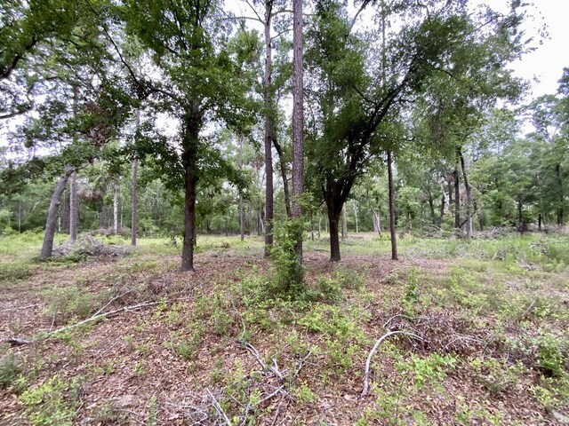 VACANT NE Bellville Rd, Pinetta, FL 32350 - photo 14