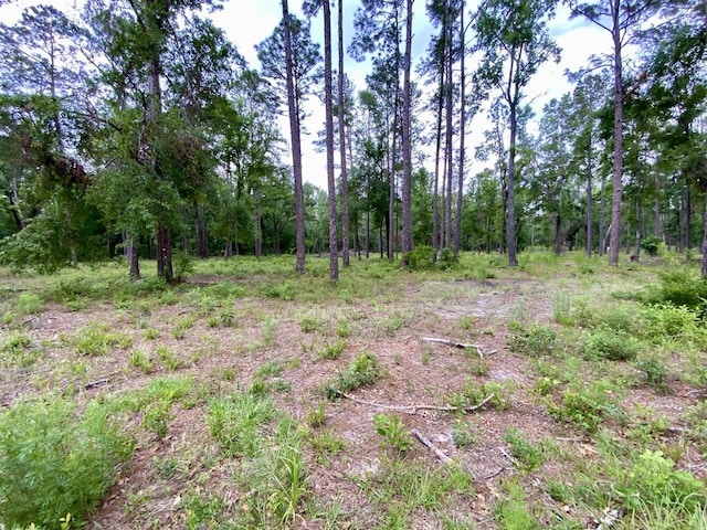 VACANT NE Bellville Rd, Pinetta, FL 32350 - photo 25