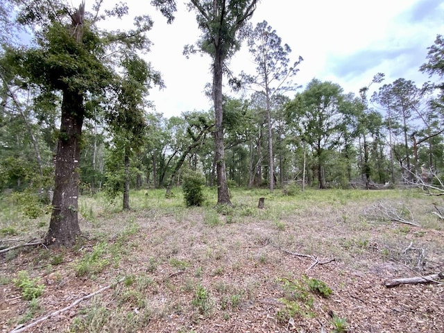 VACANT NE Bellville Rd, Pinetta, FL 32350 - photo 1