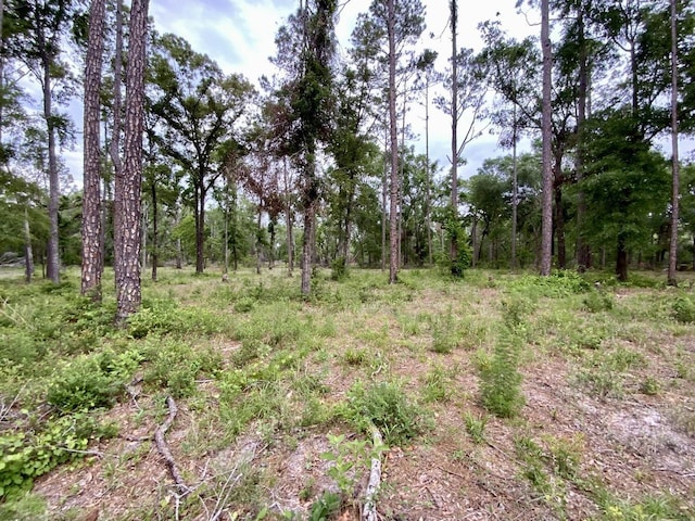 VACANT NE Bellville Rd, Pinetta, FL 32350 - photo 24