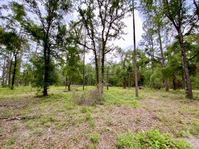 VACANT NE Bellville Rd, Pinetta, FL 32350 - photo 6