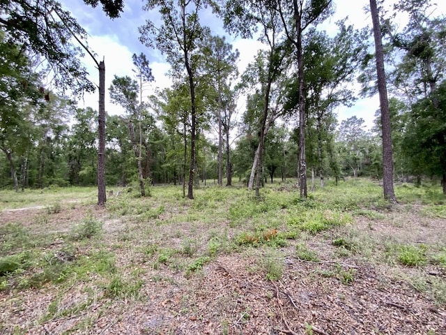VACANT NE Bellville Rd, Pinetta, FL 32350 - photo 2