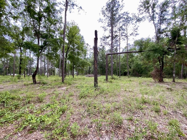 VACANT NE Bellville Rd, Pinetta, FL 32350 - photo 19