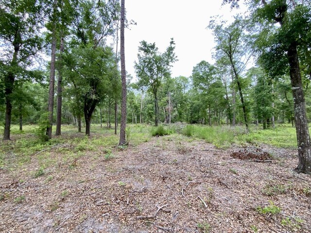 VACANT NE Bellville Rd, Pinetta, FL 32350 - photo 11