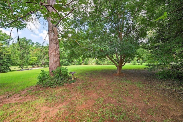 2016 Atascadero Ct, Tallahassee, FL 32317 - photo 51
