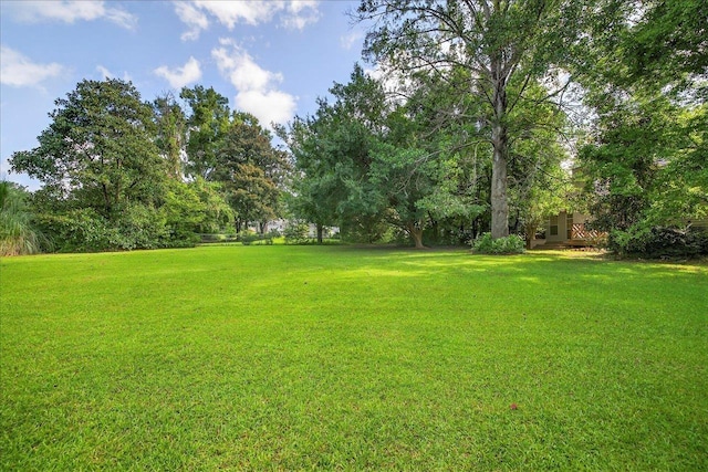 2016 Atascadero Ct, Tallahassee, FL 32317 - photo 54
