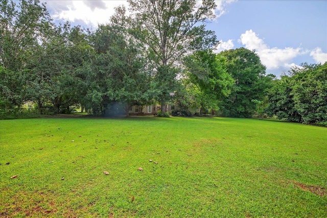 2016 Atascadero Ct, Tallahassee, FL 32317 - photo 56