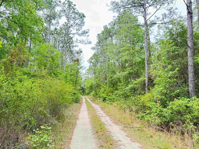 XX Maleah Ln, Sopchoppy, FL 32358 - photo 7