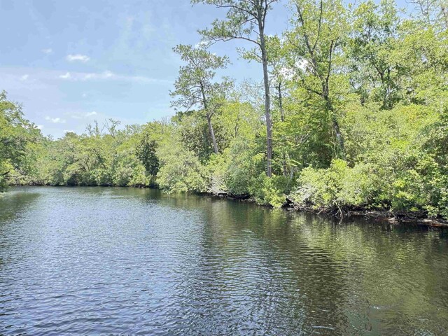 XX Maleah Ln, Sopchoppy, FL 32358 - photo 1