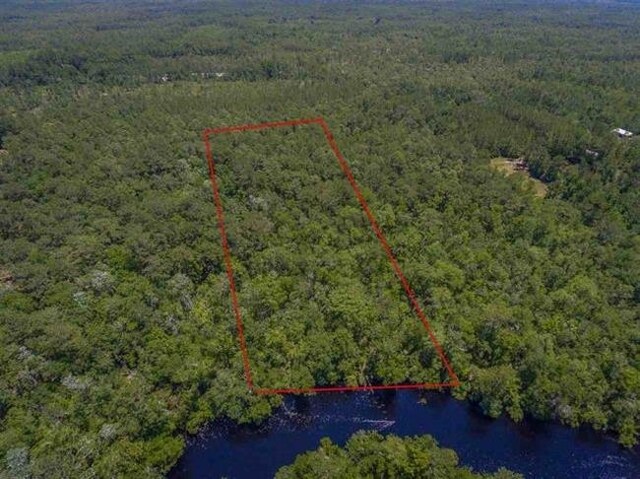 XX Maleah Ln, Sopchoppy, FL 32358 - photo 4