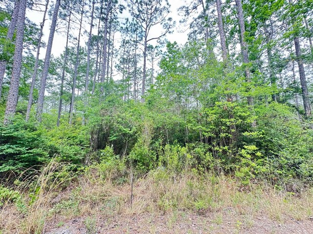 XX Maleah Ln, Sopchoppy, FL 32358 - photo 8