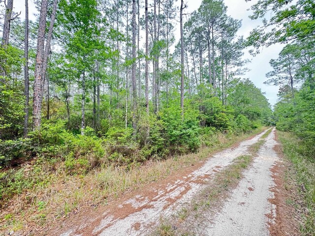 XX Maleah Ln, Sopchoppy, FL 32358 - photo 6