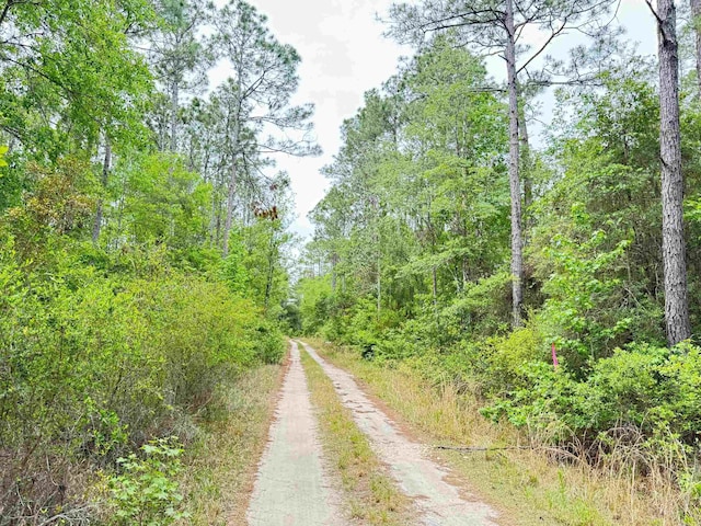 XX Maleah Ln, Sopchoppy, FL 32358 - photo 5