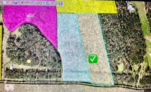 XX River Plantation Rd, Crawfordville, FL 32327 - photo 7