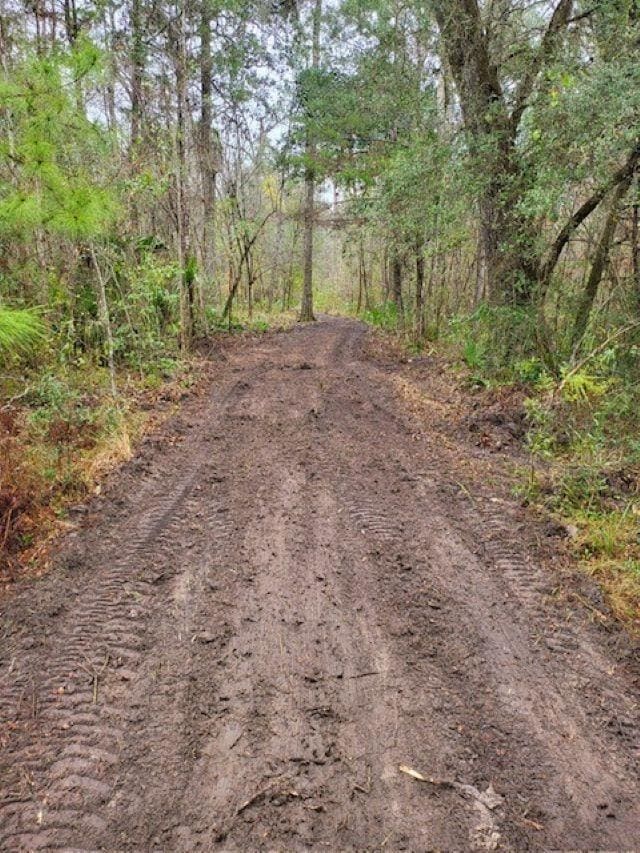 XX River Plantation Rd, Crawfordville, FL 32327 - photo 2