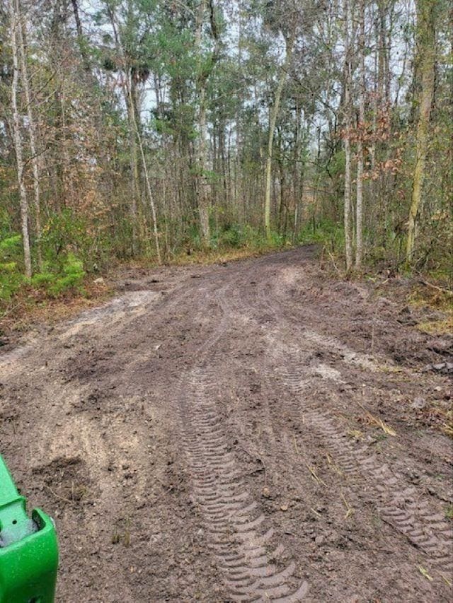 XX River Plantation Rd, Crawfordville, FL 32327 - photo 3