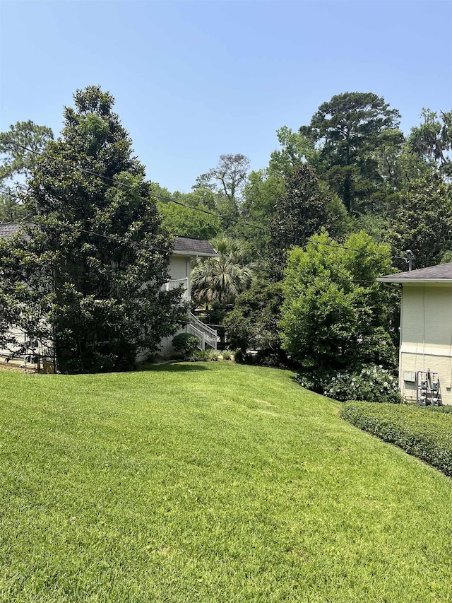 1025 Martin St, Tallahassee, FL 32303 - photo 6