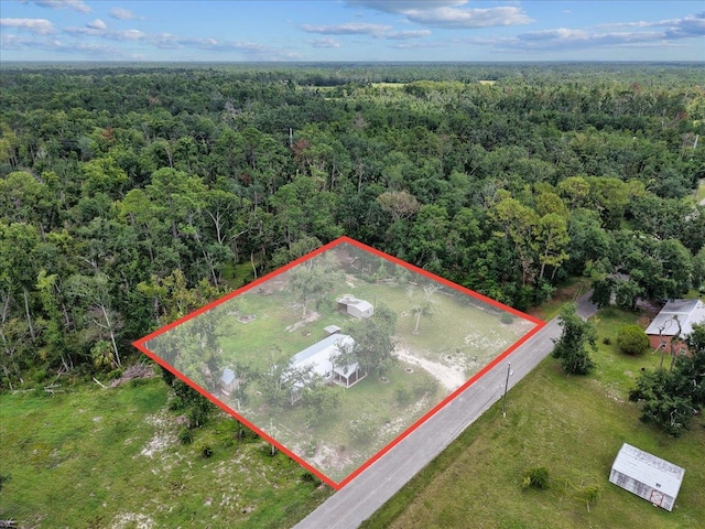 1992 Wt Grubbs Rd, Perry, FL 32347 - photo 38