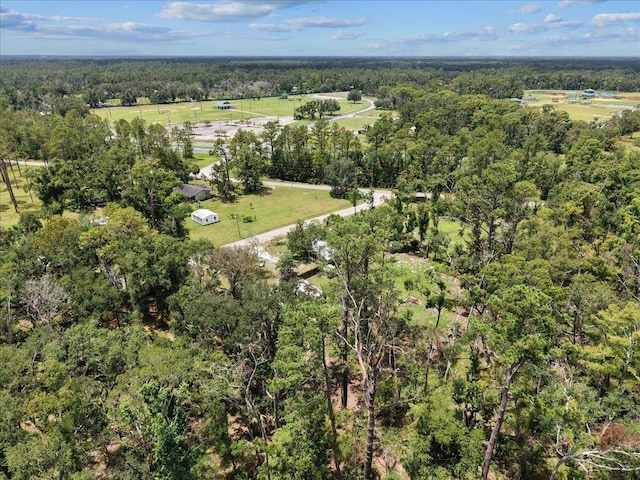 1992 Wt Grubbs Rd, Perry, FL 32347 - photo 41