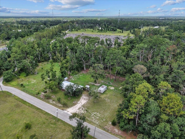 1992 Wt Grubbs Rd, Perry, FL 32347 - photo 45