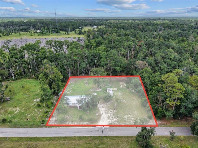 1992 Wt Grubbs Rd, Perry, FL 32347 - photo 37