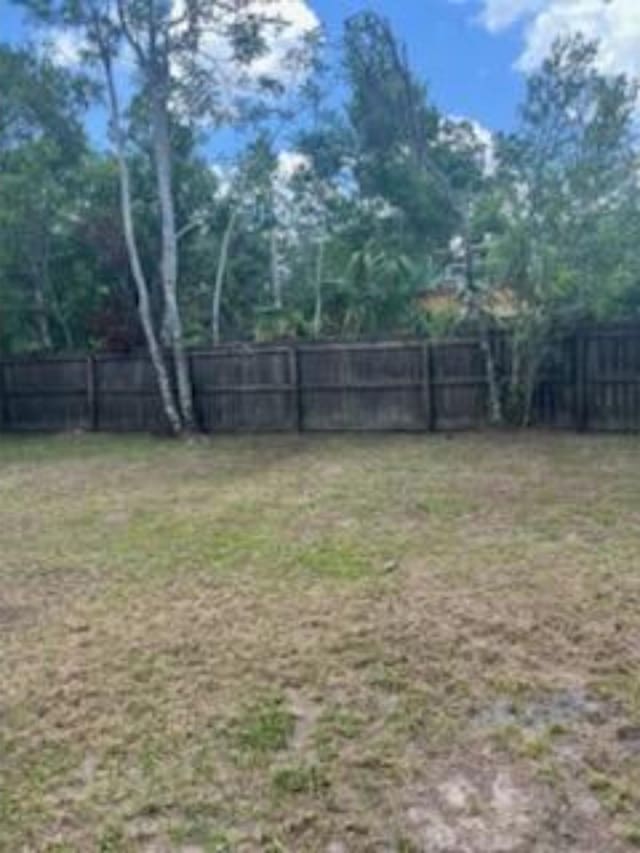 212 Susan St, Perry, FL 32348 - view of yard