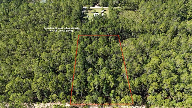 107 E Marion St Fl, FL, 32177 land for sale