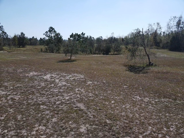 2082 SE Donaldson Rd, Lee FL, 32059 land for sale