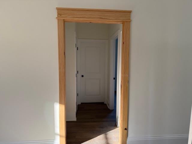 corridor featuring dark hardwood / wood-style flooring