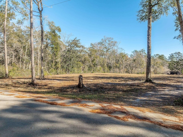 Listing photo 3 for 233 Seminole Ln, Sopchoppy FL 32358