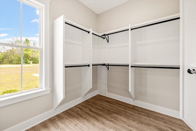 walk in closet with wood-type flooring