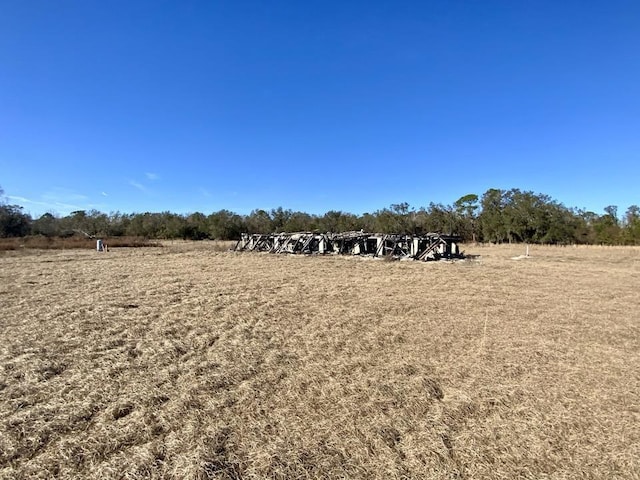 3046 SW Captain Brown Rd, Madison, FL 32340 - photo 19