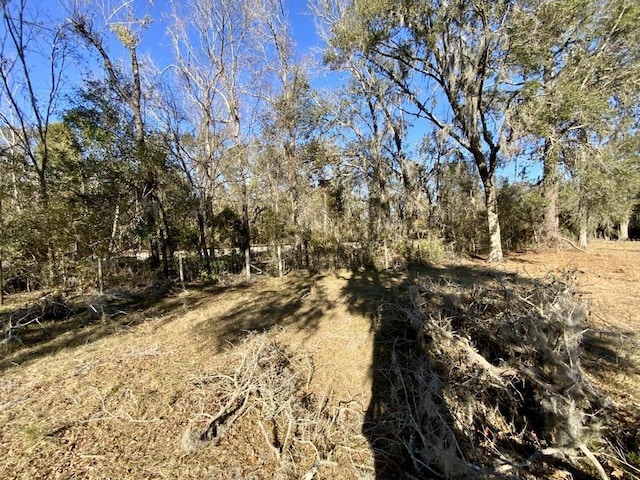 3046 SW Captain Brown Rd, Madison, FL 32340 - photo 24