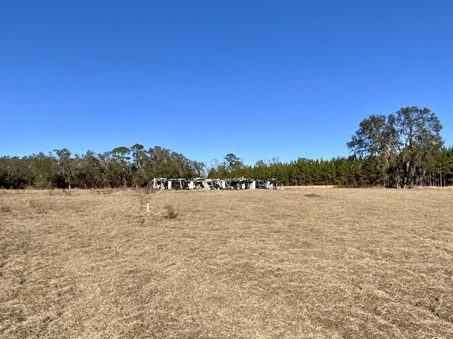 3046 SW Captain Brown Rd, Madison, FL 32340 - photo 28