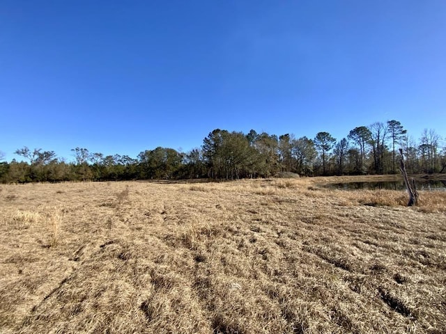 3046 SW Captain Brown Rd, Madison, FL 32340 - photo 14