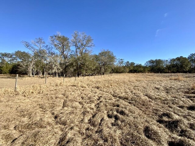 3046 SW Captain Brown Rd, Madison, FL 32340 - photo 29